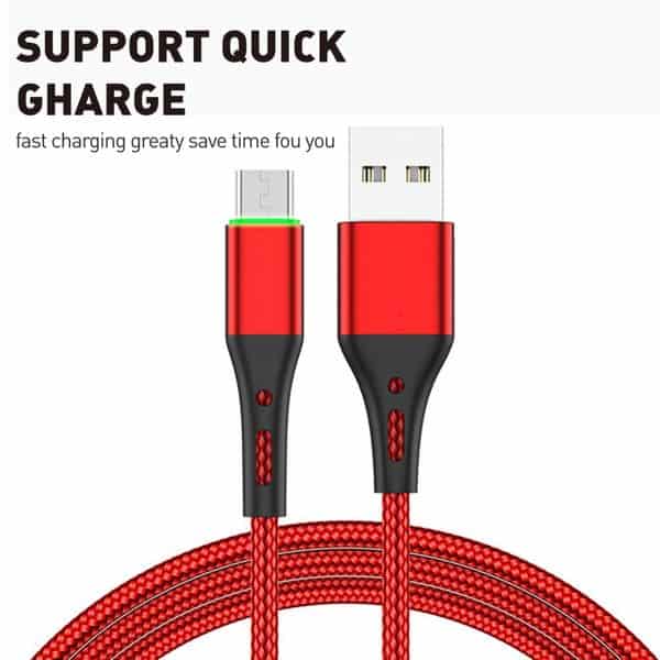 Fast Charging USB Charger Description Image 5