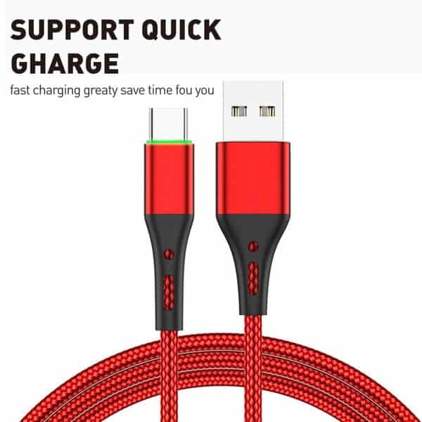 Fast Charging USBC to USB Description Image 4