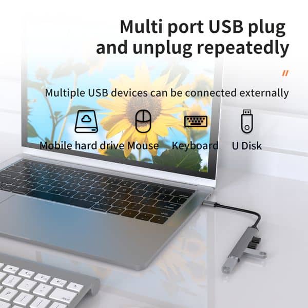 USB C Adapter Description Image 2